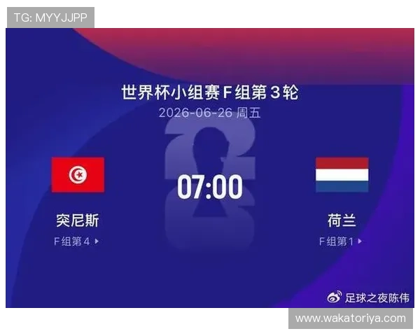 2026年世界杯突尼斯对阵荷兰比赛竞猜规则详解及风险控制策略